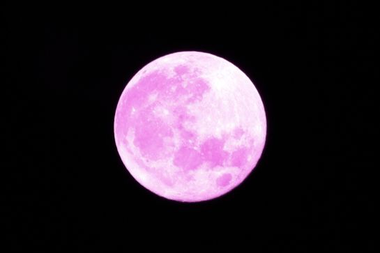 La Luna aparecerá más grande y tomará un tono rosado. La Luna aparecerá más grande y tomará un tono rosado.