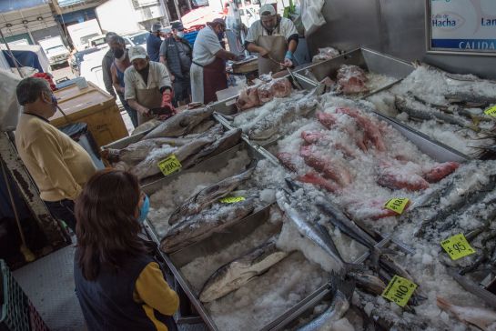 Incluye en tu dieta la ingesta de pescados y mariscos al menos tres veces a la semana Incluye en tu dieta la ingesta de pescados y mariscos al menos tres veces a la semana