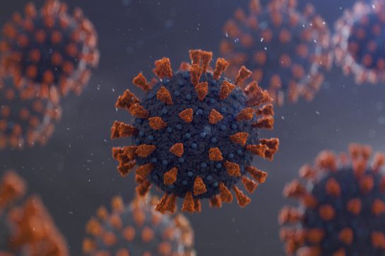 Un fármaco con virus muertos incapaces de infectar, pero con el poder de originar una reacción contra el COVID-19. Un fármaco con virus muertos incapaces de infectar, pero con el poder de originar una reacción contra el COVID-19.