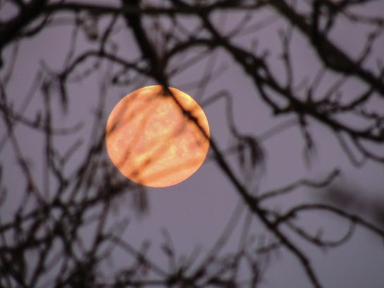 El fenómeno astronómico alcanzará su punto máximo el día 27 de abril. El fenómeno astronómico alcanzará su punto máximo el día 27 de abril.