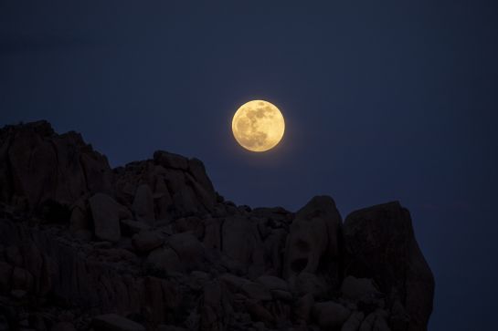 Parque Nacional de Árboles de Josué, California, Estados Unidos. Parque Nacional de Árboles de Josué, California, Estados Unidos.