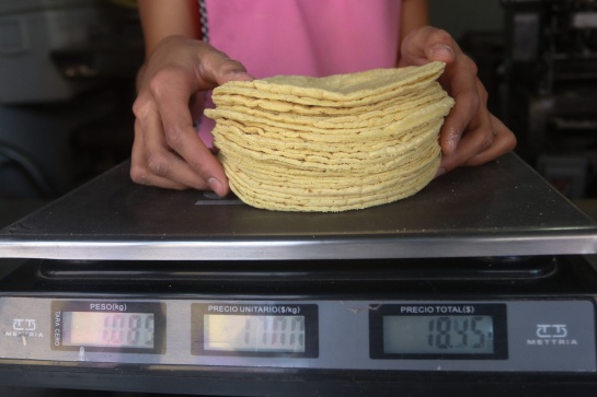 Checa los precios promedio en lo que se encuentra el kilo de tortilla para evitar abusos Checa los precios promedio en lo que se encuentra el kilo de tortilla para evitar abusos