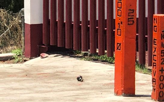 Sujetos arriba de una motocicleta lanzaron una granada de fragmentación en Naucalpan. Sujetos arriba de una motocicleta lanzaron una granada de fragmentación en Naucalpan.