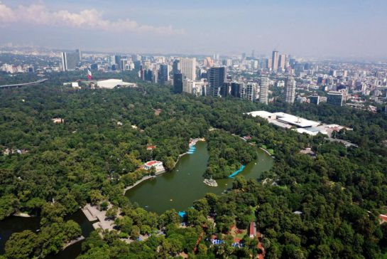 Chapultepec será el hogar de una nueva Cineteca en la Ciudad de México. Chapultepec será el hogar de una nueva Cineteca en la Ciudad de México.