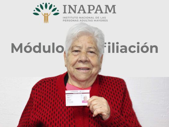 Si tienes más de 60 años, el Instituto Nacional de las Personas Adultas Mayores (INAPAM) te ofrece una serie de beneficios económicos y descuentos. Si tienes más de 60 años, el Instituto Nacional de las Personas Adultas Mayores (INAPAM) te ofrece una serie de beneficios económicos y descuentos.