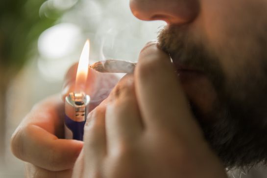 La Suprema Corte de Justicia de la Nación (SCJN) aprobó el uso lúdico de la marihuana. La Suprema Corte de Justicia de la Nación (SCJN) aprobó el uso lúdico de la marihuana.