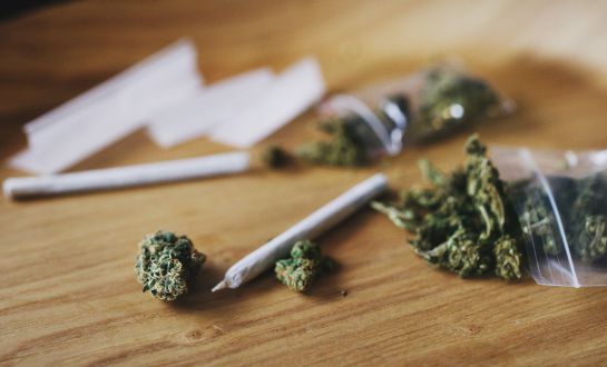 En las instalaciones de Cofepris, es importante indicar que se quiere tramitar una solicitud de uso adulto de cannabis. En las instalaciones de Cofepris, es importante indicar que se quiere tramitar una solicitud de uso adulto de cannabis.