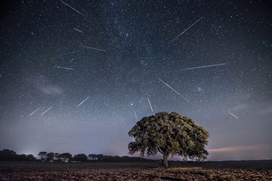 Julio tendrá desde cometas hasta lluvias de estrellas. Julio tendrá desde cometas hasta lluvias de estrellas.