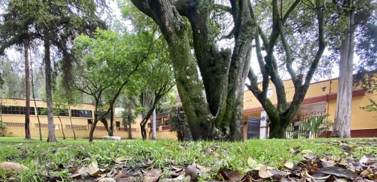 La Cuarta Sección del Bosque de Chapultepec abrió sus puertas para todo público. La Cuarta Sección del Bosque de Chapultepec abrió sus puertas para todo público.