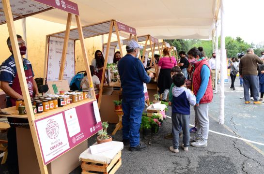 Estará la nueva sede del Centro Nacional de Conservación y Registro del Patrimonio del Instituto Nacional de Bellas Artes y Literatura (CENCROPAM). Estará la nueva sede del Centro Nacional de Conservación y Registro del Patrimonio del Instituto Nacional de Bellas Artes y Literatura (CENCROPAM).
