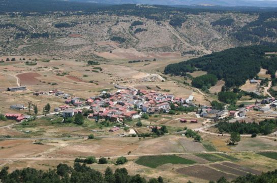 El Ayuntamiento de Griegos, ubicado en la localidad de Teruel al norte de España, lanzó la campaña a través de redes sociales. El Ayuntamiento de Griegos, ubicado en la localidad de Teruel al norte de España, lanzó la campaña a través de redes sociales.