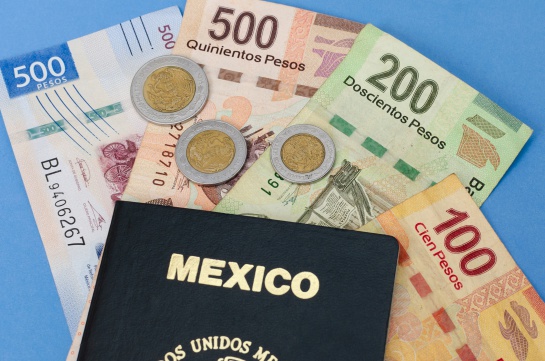 El pasaporte electrónico contará con 22 puntos de seguridad El pasaporte electrónico contará con 22 puntos de seguridad