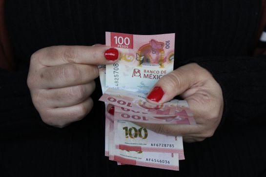 A partir de octubre los recursos podrán retirarse por los beneficiarios que el trabajador o asegurado decida. A partir de octubre los recursos podrán retirarse por los beneficiarios que el trabajador o asegurado decida.