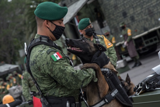Sedena: Becas ISSFAM 2021: ¿Cómo puedo solicitar el apoyo de 5 mil pesos? Sedena: Becas ISSFAM 2021: ¿Cómo puedo solicitar el apoyo de 5 mil pesos?