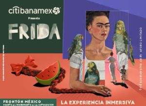 La obra es una experiencia 100% inmersiva con proyecciones gigantescas en paredes y piso La obra es una experiencia 100% inmersiva con proyecciones gigantescas en paredes y piso