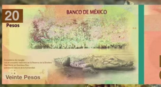 El nuevo billete conmemorará el Bicentenario de la Consumación de la Independencia con un motivo alusivo. El nuevo billete conmemorará el Bicentenario de la Consumación de la Independencia con un motivo alusivo.
