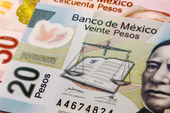Los nuevos billetes de 20 y 50 pesos llegarán en septiembre del 2021. Los nuevos billetes de 20 y 50 pesos llegarán en septiembre del 2021.