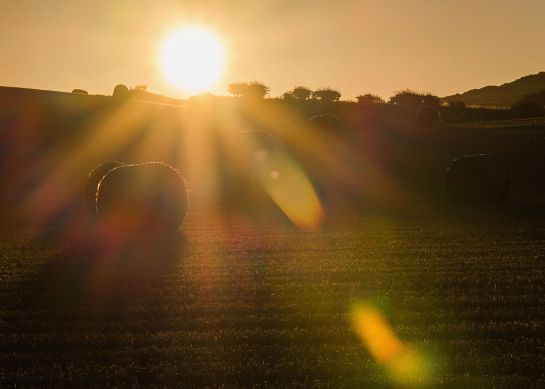 El verano se despide para recibir al otoño durante el miércoles 22 de septiembre alrededor de las 14:20 horas. El verano se despide para recibir al otoño durante el miércoles 22 de septiembre alrededor de las 14:20 horas.
