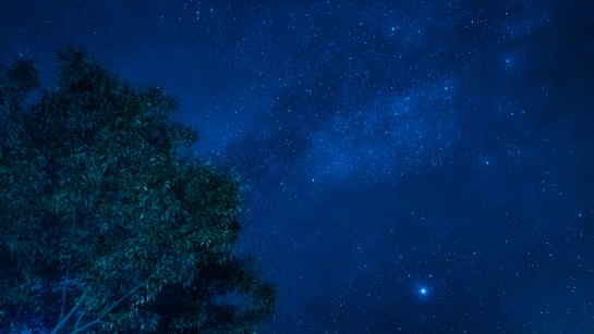 Fenómenos astronómicos octubre 2021: Luna nueva y lluvias de meteoros Dracónidas; checa el calendario de octubre Fenómenos astronómicos octubre 2021: Luna nueva y lluvias de meteoros Dracónidas; checa el calendario de octubre