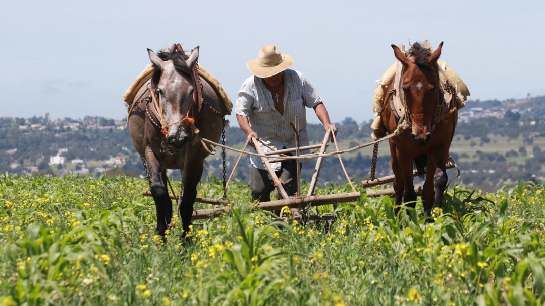 Solo 5% del valor del producto llega a manos del agricultor: Oxfam México