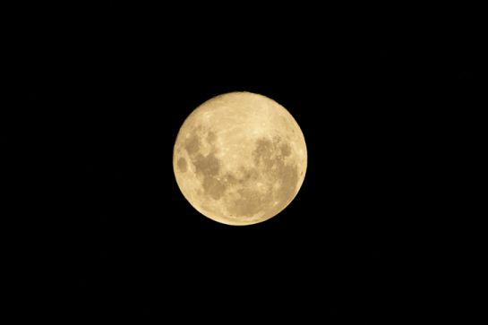Luna de Gusano Luna de Gusano