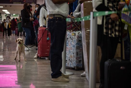 Hasta el día de hoy, alrededor de 235 vuelos no han podido despegar del Aeropuerto Internacional de la Ciudad de México (AICM). Hasta el día de hoy, alrededor de 235 vuelos no han podido despegar del Aeropuerto Internacional de la Ciudad de México (AICM).