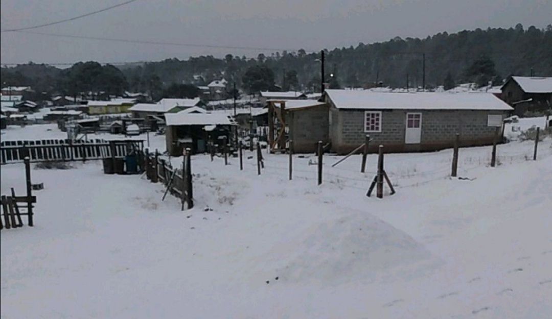 Se Registra Ca Da De Nieve En Durango Nacional W Radio Mexico