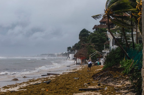 Baja California Sur, uno de los estados más afectados Baja California Sur, uno de los estados más afectados