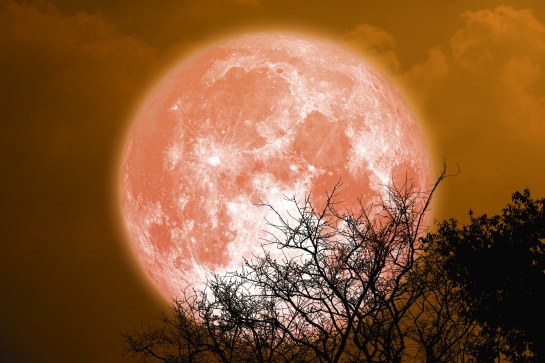 Superluna de fresa 2022: Cuándo y cómo verla en México Superluna de fresa 2022: Cuándo y cómo verla en México