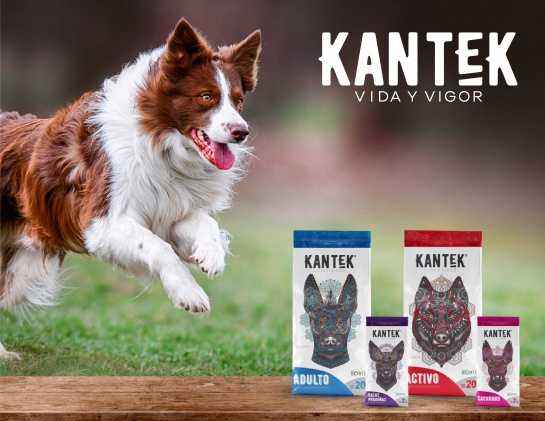KANTEK KANTEK