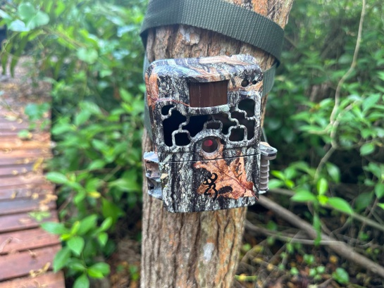"sistema de monitoreo que analiza imágenes y datos de sonido para identificar, así como rastrear a los jaguares de la reserva" "sistema de monitoreo que analiza imágenes y datos de sonido para identificar, así como rastrear a los jaguares de la reserva"