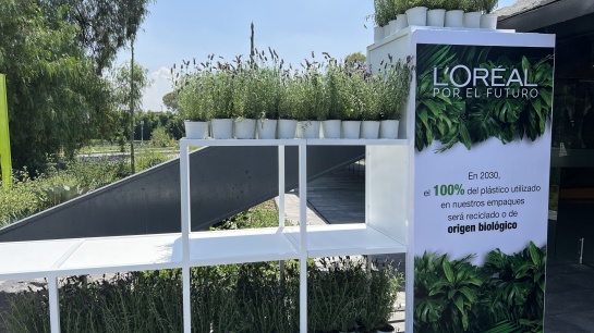 L'Oréal reúne a líderes ambientales en México para preservar la belleza de L'Oréal reúne a líderes ambientales en México para preservar la belleza de