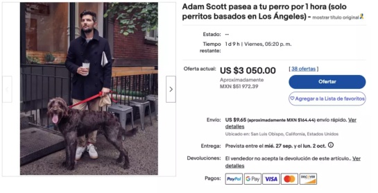 Captura de pantalla como referencia de oferta en plataforma eBay Captura de pantalla como referencia de oferta en plataforma eBay