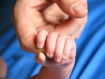 Valida Corte prueba de ADN en juicio de desconocimiento de paternidad |  Actualidad | W Radio Mexico