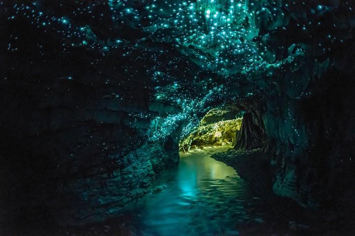 Las cuevas de Glowworm de Nueva Zelanda