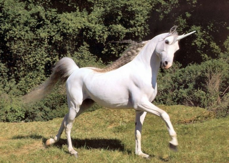 Resultado de imagen de El unicornio blanco