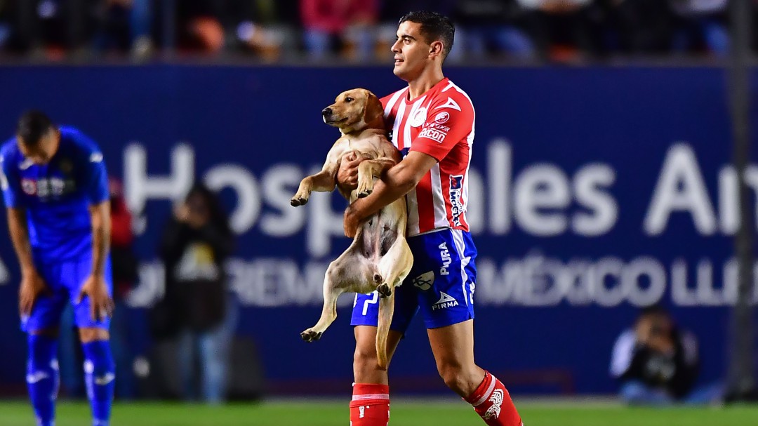 El Atlético de San Luis contrató a "Tunita"