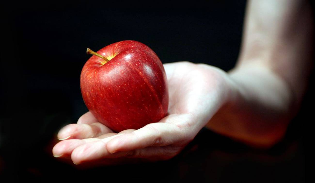 Los Dichos De La Comida Que Dicen De Nosotros Martha Debayle W Radio Mexico A qui n le dan pan que llore. los dichos de la comida que dicen de