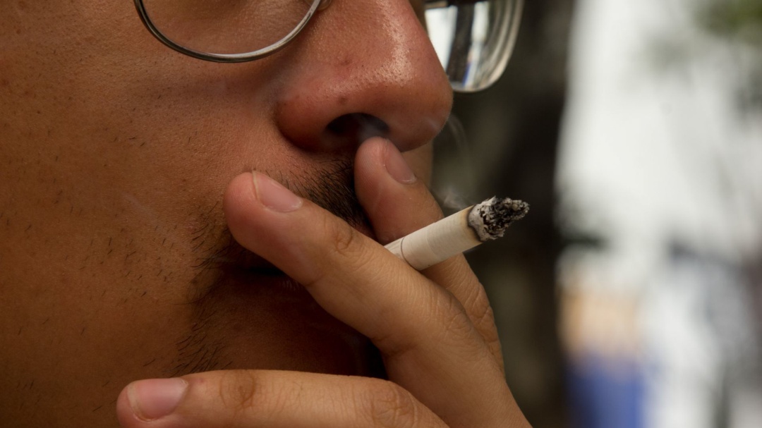 López Gatell pide a diputados ajustar impuestos al tabaco