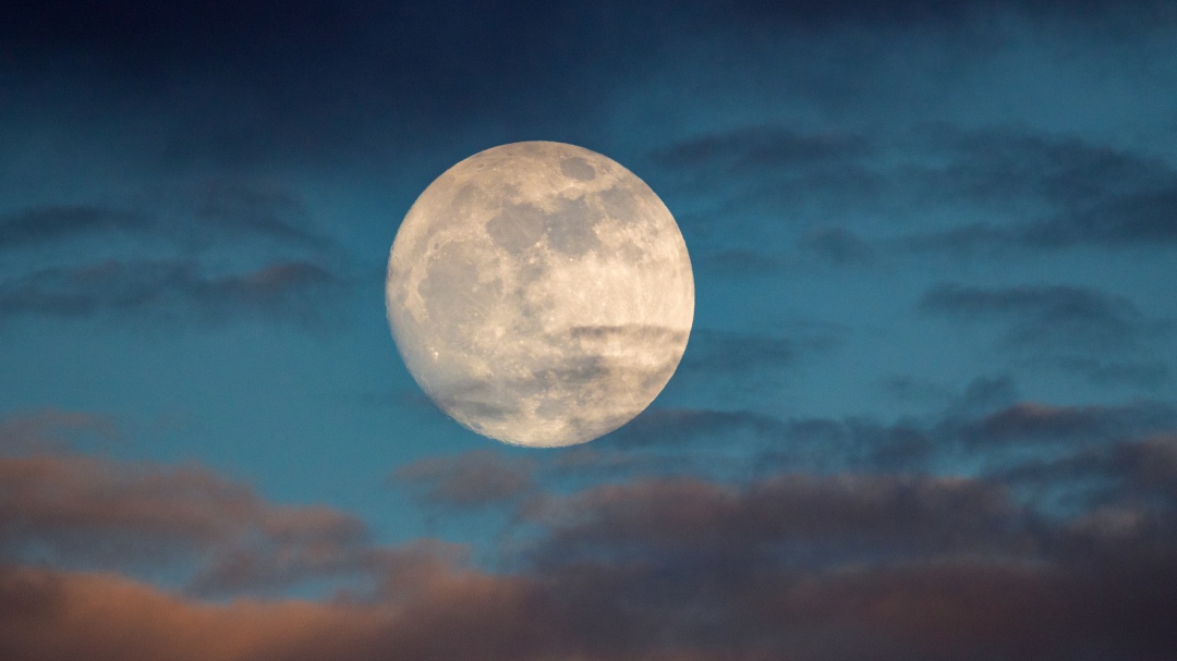 Ya casi llega la "Luna Lobo"; qué significa, cuándo y cómo verla en enero