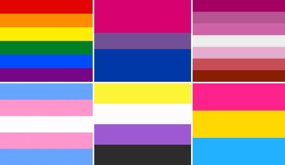 Oportuno Rango Preservativo Marcha LGBT: ¿Cuántas banderas hay del Orgullo LGBT+ y qué significa cada  una? | Sociedad | W Radio Mexico