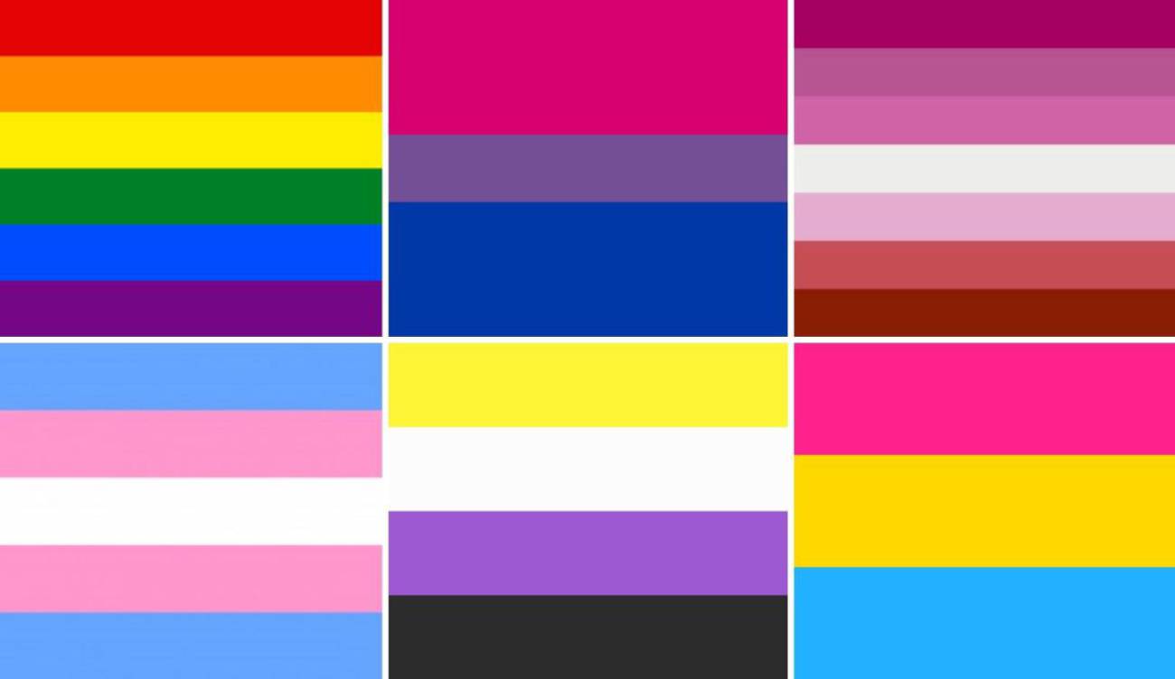 Haciendo Enumerar Negrita Marcha LGBT: ¿Cuántas banderas hay del Orgullo LGBT+ y qué significa cada  una? | Sociedad | W Radio Mexico