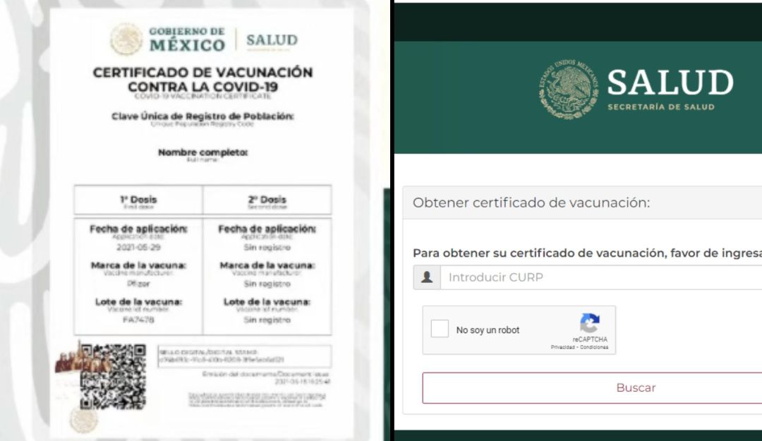 VACUNACIÓN COVID: Aquí te decimos cómo obtener tu Certificado Covid | Sociedad | W Radio Mexico