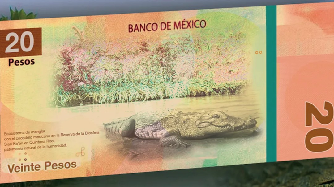 Adiós Juárez y Morelos; así serían los nuevos billetes de 20 y 50 pesos