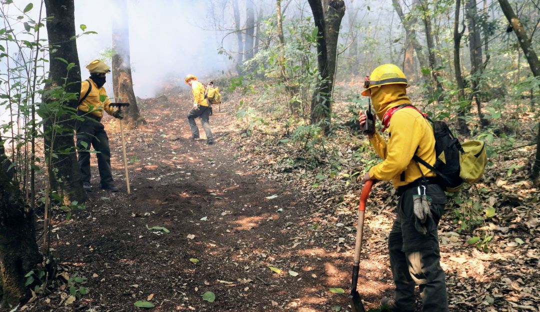 Logran Controlar Al 100 Por Ciento El Incendio Forestal En Tepoztlán Nacional W Radio Mexico 7919