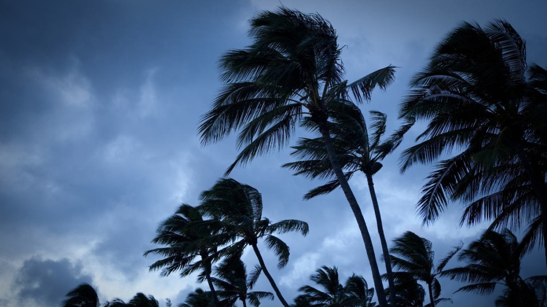Ciclón tropical Alex: ¿Cuándo llegará a costas mexicanas del Caribe?