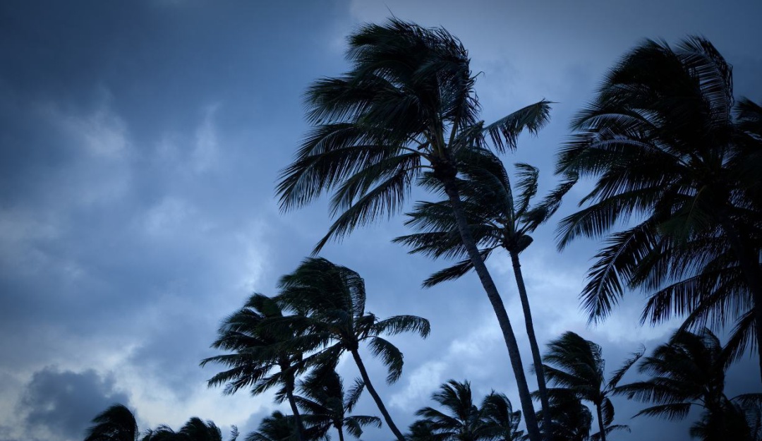 Ciclón tropical Alex: Ciclón tropical Alex: ¿Cuándo llegará a costas mexicanas del Caribe? | Sociedad | W Radio Mexico
