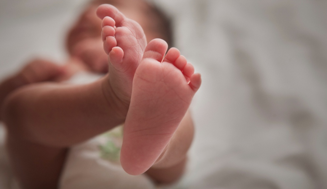 bebé con cola Nuevo León: Nace bebé con cola de más de 5 cm en Nuevo León;  ya se la retiraron | Sociedad | W Radio Mexico