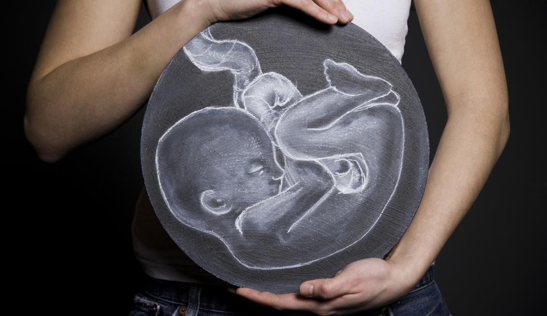 Inseminação post mortem: Bebé nascido por inseminação post mortem em Portugal;  O que é?  |  Internacional |  WRadio México